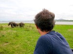 Minneriya National Park, Elephants, Une semaine Sri Lanka